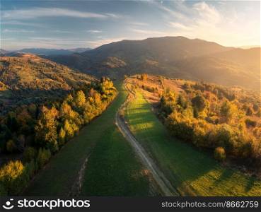 Aerial view of beautiful green hills, forest and mountains at sunset in autumn in Ukraine. Colorful landscape with woods, trail, meadows, golden sunlight, trees in fall. Nature. Top view from drone