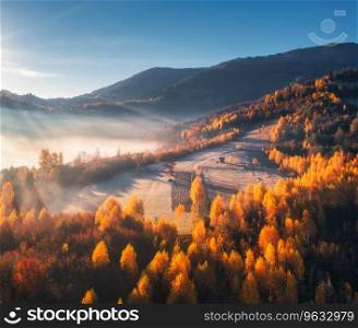 Aerial view of beautiful orange forest on the hill in fog in mountains at sunrise in autumn in Ukraine. Colorful landscape with foggy trees, grass, fields and meadows, blue sky. Woods in fall. Nature