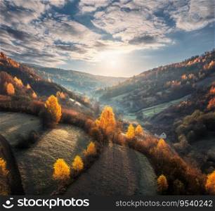Aerial view of beautiful orange trees on the hill in mountains at sunrise in autumn in Ukraine. Colorful landscape with trees in fog, sun, grass, fields and meadows, blue sky, forest in fall. Nature	