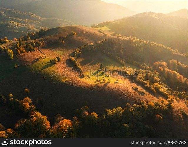 Aerial view of beautiful orange trees on the hills and mountains in fog at sunset in autumn in Ukraine. Colorful landscape with foggy woods, meadows, golden sunlight. Forest in fall. Top view. Nature