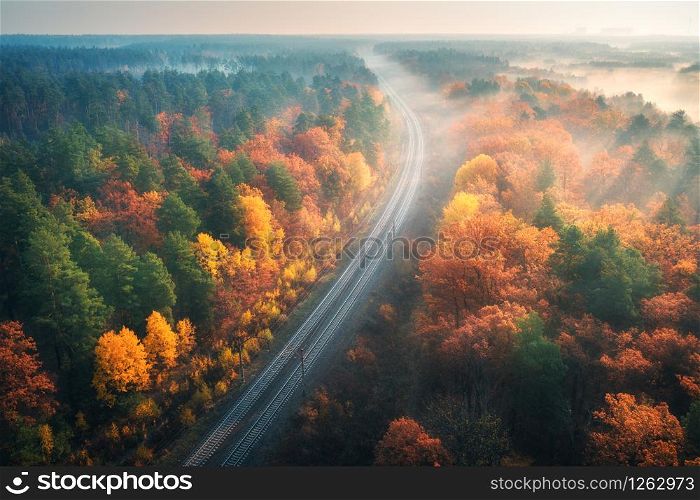 Aerial view of beautiful railroad in autumn forest in foggy sunrise. Industrial landscape with railway station, colorful trees with orange leaves, fog and sun rays. Top view of rural railway platform