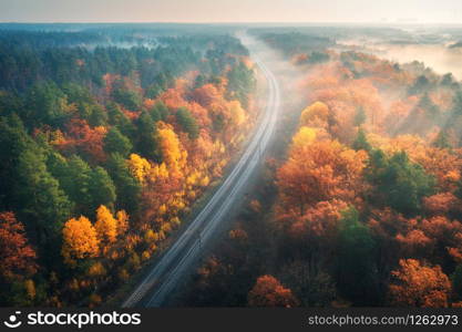 Aerial view of beautiful railroad in autumn forest in foggy sunrise. Industrial landscape with railway station, colorful trees with orange leaves, fog and sun rays. Top view of rural railway platform