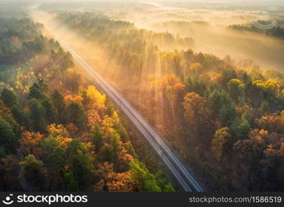 Aerial view of beautiful railroad in autumn forest in foggy sunrise. Industrial landscape with railway station, sky, trees with orange leaves, fog and sun rays. Top view of rural railroad and sunbeams