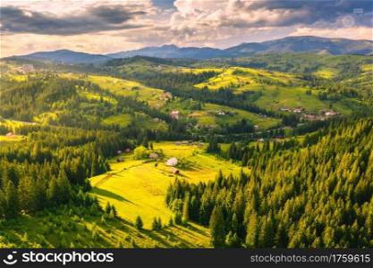 Aerial view of beautiful small village in Carpathian mountains at sunset in summer. Colorful landscape with green meadows, houses with gardens, pine trees, cloudy sky. Top view of mountain countryside