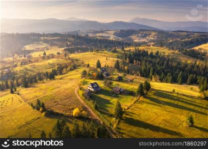 Aerial view of beautiful village in Carpathian mountains at sunset in autumn. Colorful landscape with green meadows, houses with gardens, trees, sky in fall. Top view of mountain countryside. Nature