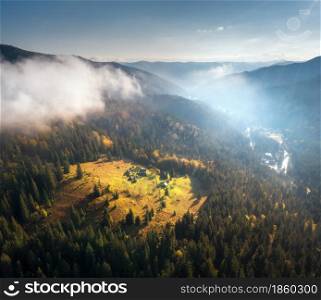 Aerial view of beautiful village in Carpathian mountains in low clouds at sunrise in autumn. Colorful landscape with houses on the green meadow in fog, trees, blue sky in fall. Top view. Nature