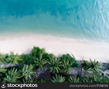 Aerial view of beautiful white sand beach with turquoise sea water and palm trees