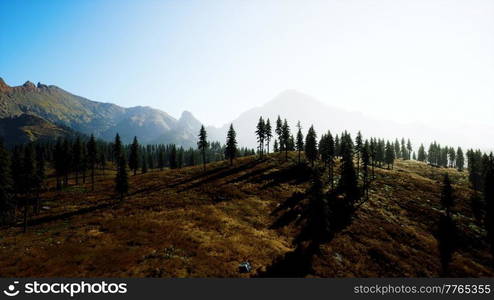 aerial view of canadian rockies mountain