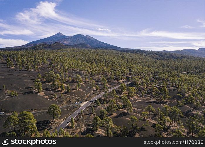 Aerial view of Chinyero Forest on black lava fields with Teide Volcano in the back, Tenerife, Canary Islands, Spain