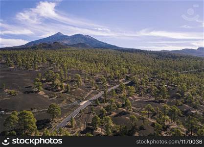 Aerial view of Chinyero Forest on black lava fields with Teide Volcano in the back, Tenerife, Canary Islands, Spain