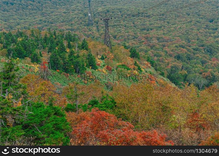 Aerial View of Colorful Autumn Leaves or Autumn Forest on top of hakkoda mountain in nature concept