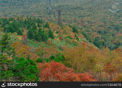 Aerial View of Colorful Autumn Leaves or Autumn Forest on top of hakkoda mountain in nature concept