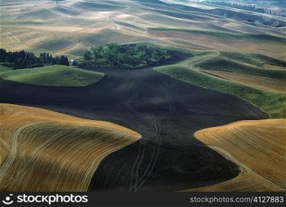 Aerial view of contour plowed fields, Washington state