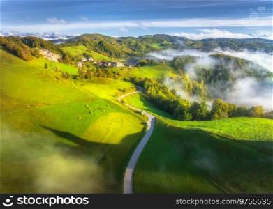 Aerial view of country road in green alpine meadows at sunrise in autumn. Top drone view of rural road, mountains in low clouds. Colorful landscape with village, hills, fields, green grass. Slovenia 