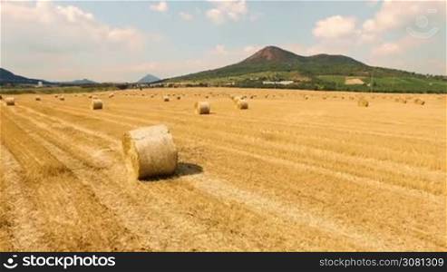 Aerial view of cropped wheat field with bales of hay in the countryside with a beautiful view of the mountain on a sunny day. Czech Republic