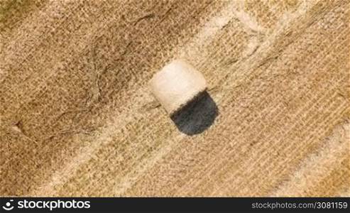 Aerial view of cropped wheat field with bales of hay in the countryside. The snapshot rotates counterclockwise
