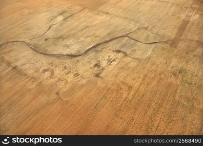 Aerial view of cultivated cropland.