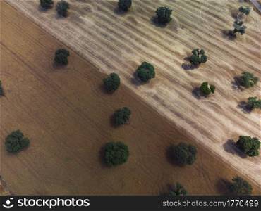 Aerial view of cultivated fields in Castilla La Mancha, Spain.
