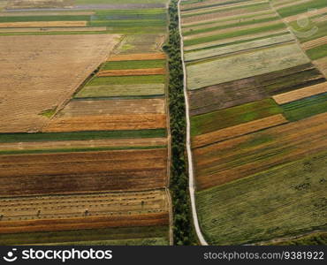Aerial view of cultivated green fields and agricultural parcels with gold wheat, straw rolls. Countryside landscape, rows geometric shape fields. Concept of agrarian industry. Ukraine.. Aerial view of cultivated green fields and agricultural parcels with gold wheat, straw rolls. Countryside landscape, rows geometric shape fields. Concept of agrarian industry. Ukraine