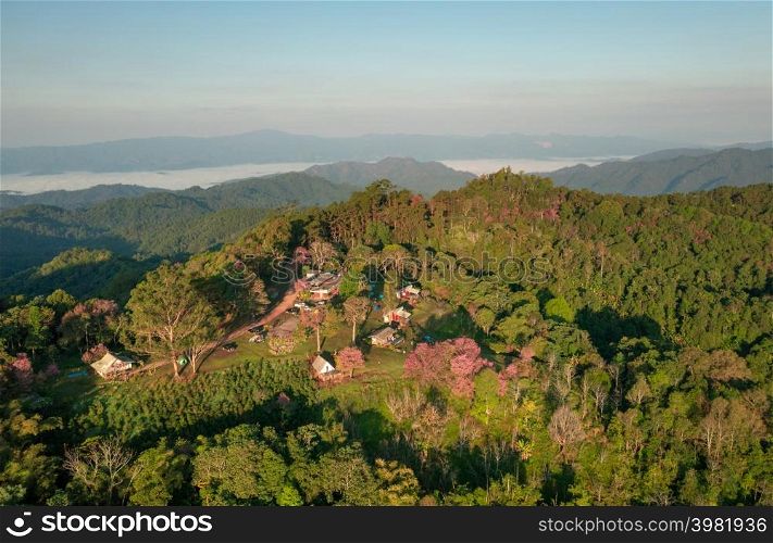 Aerial View of Doi Mae Taman, San Pa Kia. Mountains in the morning and the sea of mist, Doi Mae Taman, San Pa Kia. Chiang Mai Province, Thailand. Pink cherry blossom. Camping.. Doi Mae Taman.