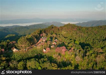 Aerial View of Doi Mae Taman, San Pa Kia. Mountains in the morning and the sea of mist, Doi Mae Taman, San Pa Kia. Chiang Mai Province, Thailand. Pink cherry blossom. Camping.. Doi Mae Taman.