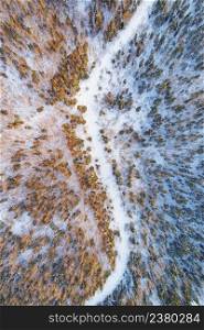 Aerial view of empty snowy country road in winter forest