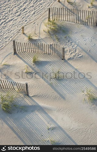 Aerial view of fences and marram grass on beach of Bald Head Island, North Carolina.