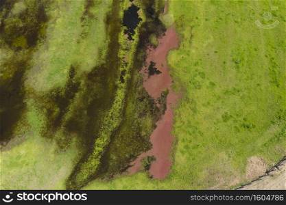 Aerial view of flooding in an agricultural field in New South Wales in Regional Australia
