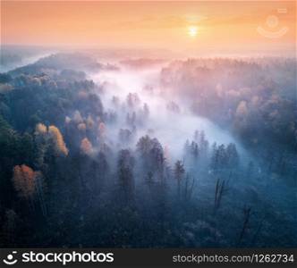 Aerial view of foggy forest and meadows at colorful sunrise in autumn. Beautiful landscape with trees in fog, river, fields and orange sky with sun in the morning. Fall colors. Top view. Nature
