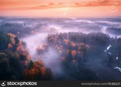Aerial view of foggy forest at colorful sunrise in autumn. Amazing landscape with colorful trees in fog, river, field and red sky with sun in the morning. Fall colors. Fairy scenery. Top view. Nature