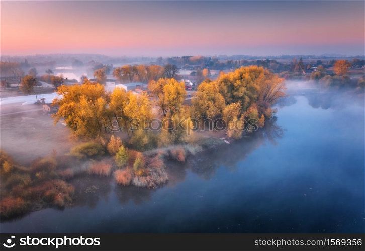 Aerial view of foggy trees on the river coast at sunrise in autumn. Colorful landscape with forest in low clouds, lake, meadow in fog, pink sky, village in the morning in fall. Top view. Nature