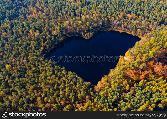 Aerial view of forest lake in a shape of heart. Autumn woods drone photo romantic love pond.