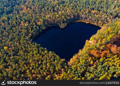 Aerial view of forest lake in a shape of heart. Autumn woods drone photo romantic love pond.
