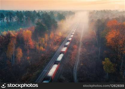 Aerial view of freight train in beautiful forest in fog at sunrise in autumn. Colorful landscape with railroad, foggy trees with orange leaves, mist. Top view of moving train in fall. Railway station