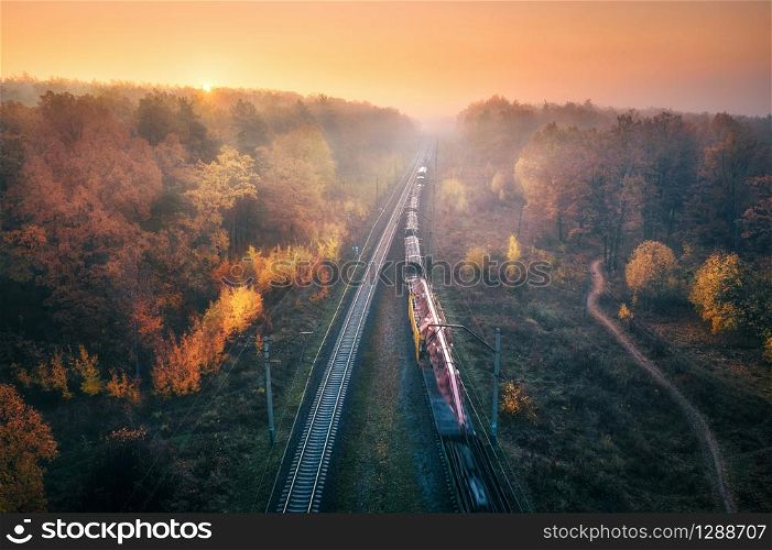 Aerial view of freight train in beautiful forest in fog at sunset in autumn. Colorful landscape with railroad, foggy trees, trail and orange sky. Top view of moving train in fall. Railway station