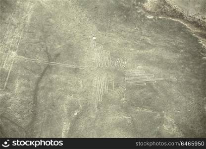 Aerial view of geoglyphs near Nazca - famous Nazca Lines, Peru. In the center, Hummingbird figure is present