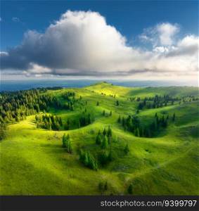 Aerial view of green alpine meadows on the hills at sunset in summer. Top drone view of mountain valley with trees, green grass and blue sky with clouds. Velika Planina, Slovenia. Colorful landscape