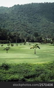 Aerial view of green fields with lush hills in the background