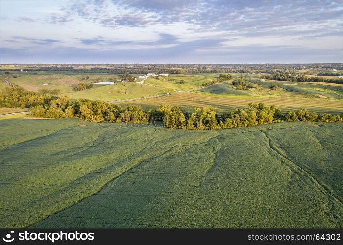 aerial view of green soybean fields and meadows in a valley of the Missouri River, near Glasgow, MO, late summer