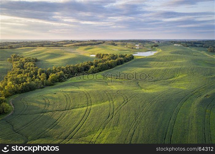 aerial view of green soybean fields s in a valley of the Missouri River, near Glasgow, MO, late summer