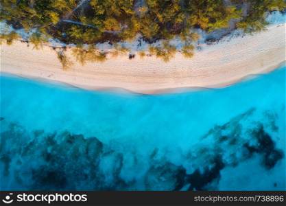 Aerial view of green trees on the sandy beach and blue sea at sunset. Summer holiday. Indian Ocean in Zanzibar, Africa. Tropical landscape with palm trees, white sand, blue water, waves. Top view