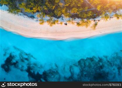 Aerial view of green trees on the sandy beach and blue sea at sunset. Summer holiday. Indian Ocean in Africa. Tropical landscape with palm trees, white sand, clear blue water, waves. Top view. Nature