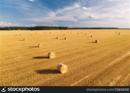 Aerial view of hay bales at sunset in summer. Top view of hay stacks. Agriculture. Field after harvest with hay rolls. Landscape with farm land, straw and meadow. Grain crop, harvesting yellow wheat