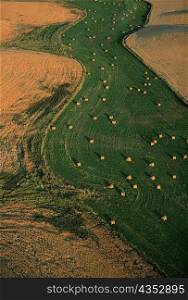 Aerial view of hay fields, Washington state