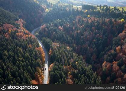 aerial view of mountain road≤ading among green hills and mountains covered by theπ≠s and oran≥autumn beech trees  