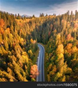 Aerial view of mountain road in beautiful forest at sunset in autumn. Top view from drone of winding road in woods. Colorful landscape with empty roadway, trees with orange leaves, blue sky in fall