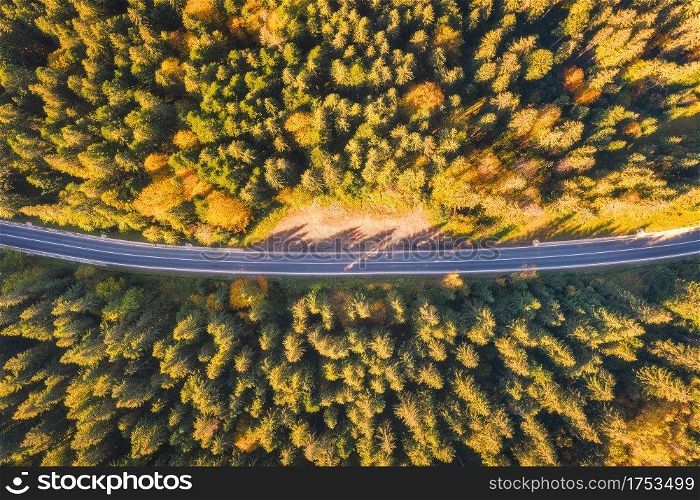 Aerial view of mountain road in beautiful forest at sunset in autumn. Top view from drone of winding road in woods. Colorful landscape with empty roadway, trees with orange and green leaves in fall	