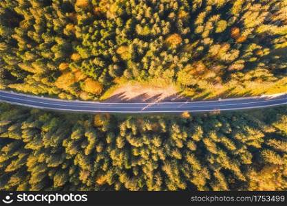 Aerial view of mountain road in beautiful forest at sunset in autumn. Top view from drone of winding road in woods. Colorful landscape with empty roadway, trees with orange and green leaves in fall	
