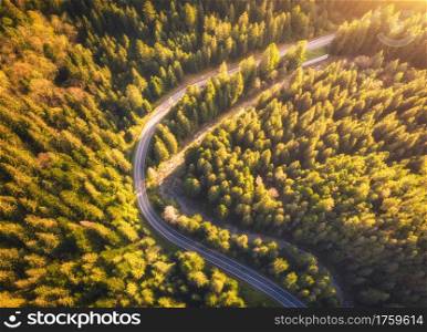 Aerial view of mountain road in beautiful forest at sunset in summer. Top view from drone of winding road in woods. Colorful landscape with curved roadway, trees with green leaves in spring. Travel
