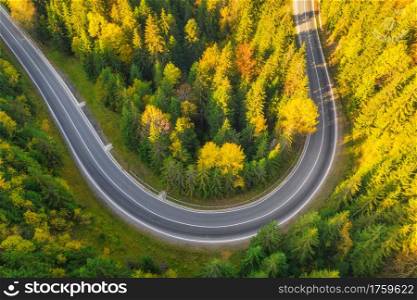 Aerial view of mountain road in beautiful forest at sunset in summer. Top view from drone of winding road in woods. Colorful landscape with curved roadway, trees with green leaves in spring. Travel